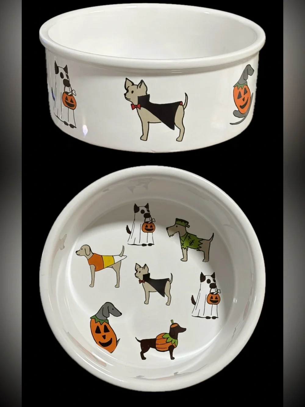 NEW THL Ceramic Pet Food Bowl Halloween Spooky Dogs 🐶